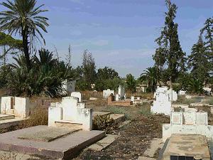 RELIZANE 2009 le cimetiere  (11)